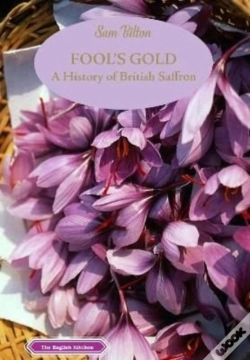 Capa do artigo Fool'S Gold