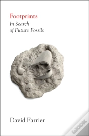 Capa do artigo Footprints