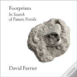 Capa do artigo Footprints