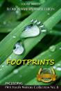 Footprints: Florida Writers Association - Preview