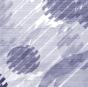 Footprints in a Solid Rock - Vinil - Preview