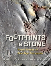 Capa do artigo Footprints In Stone