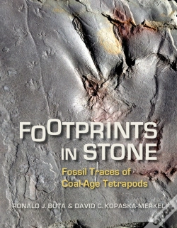 Capa do artigo Footprints In Stone
