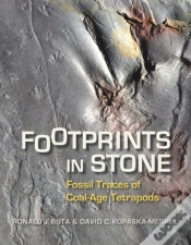 Capa do artigo Footprints In Stone