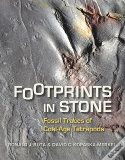 Capa do artigo Footprints In Stone
