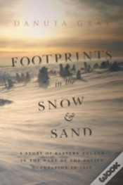 Capa do artigo Footprints In The Snow And Sand