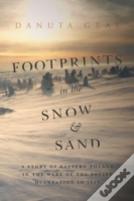 Footprints In The Snow And Sand