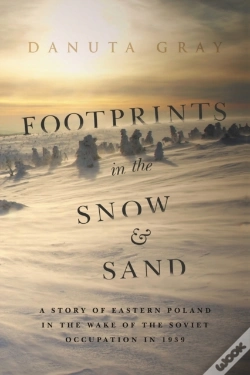 Capa do artigo Footprints In The Snow And Sand