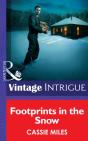 Footprints In The Snow - Preview