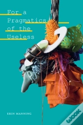 For A Pragmatics Of The Useless