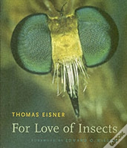 Capa do artigo For Love Of Insects