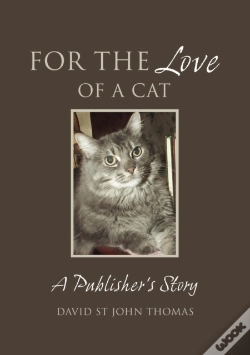 Capa do artigo For The Love Of A Cat
