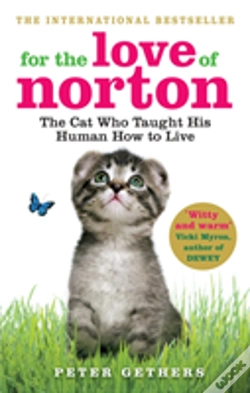 Capa do artigo For The Love Of Norton