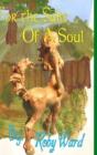 For The Sake Of A Soul - Preview