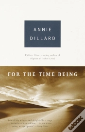 Capa do artigo For The Time Being