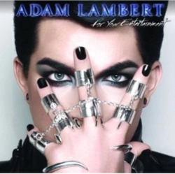Capa do artigo For Your Entertainment - CD