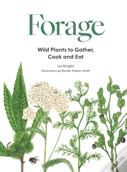 Capa do artigo Forage