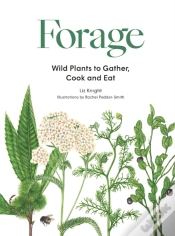 Capa do artigo Forage