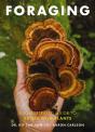 Foraging - Preview