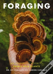 Capa do artigo Foraging
