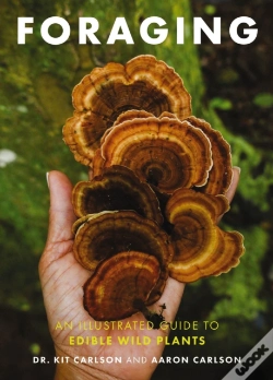 Capa do artigo Foraging
