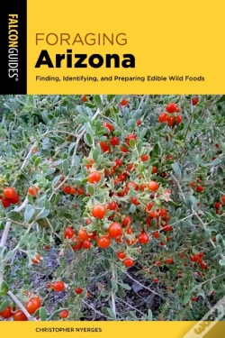 Capa do artigo Foraging Arizona