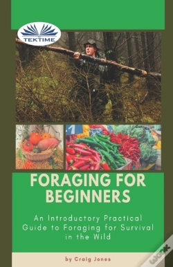 Capa do artigo Foraging For Beginners
