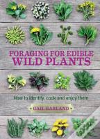 Foraging For Edible Wild Plants