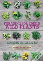 Capa do artigo Foraging For Edible Wild Plants