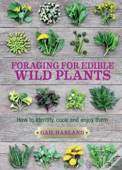 Capa do artigo Foraging For Edible Wild Plants
