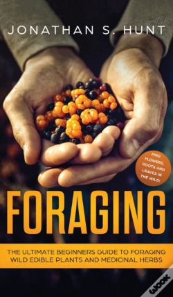 Capa do artigo Foraging