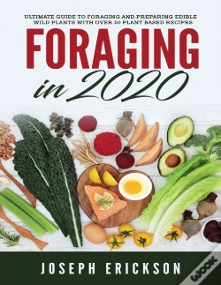 Capa do artigo Foraging In 2020