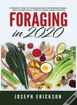 Capa do artigo Foraging In 2020