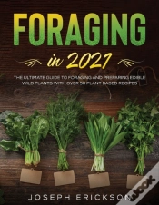 Capa do artigo Foraging In 2021