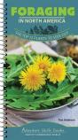 Foraging In North America - Preview