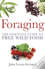 Capa do artigo Foraging
