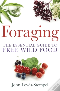 Capa do artigo Foraging