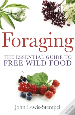 Capa do artigo Foraging