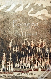 Capa do artigo Foraging