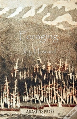 Capa do artigo Foraging