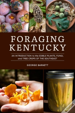 Capa do artigo Foraging Kentucky