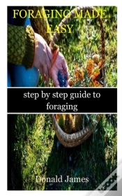 Capa do artigo Foraging Made Easy
