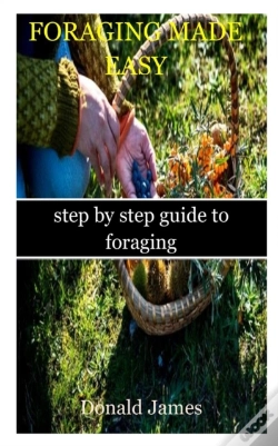 Capa do artigo Foraging Made Easy
