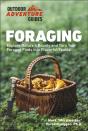 Foraging - Preview