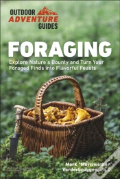 Capa do artigo Foraging