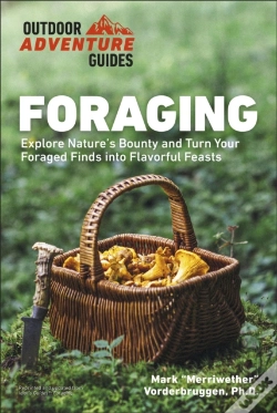 Capa do artigo Foraging