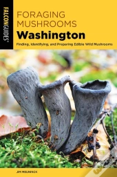 Foraging Mushrooms Washington