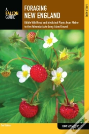 Capa do artigo Foraging New England