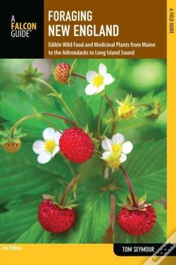 Capa do artigo Foraging New England