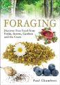 Foraging - Preview